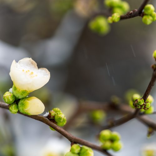 Potansiyelden Performansa - Baltaş Grubu Potansiyelden Performansa